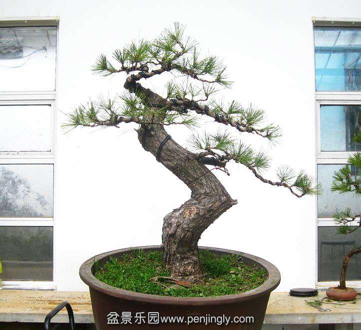 IMG._0134.JPG