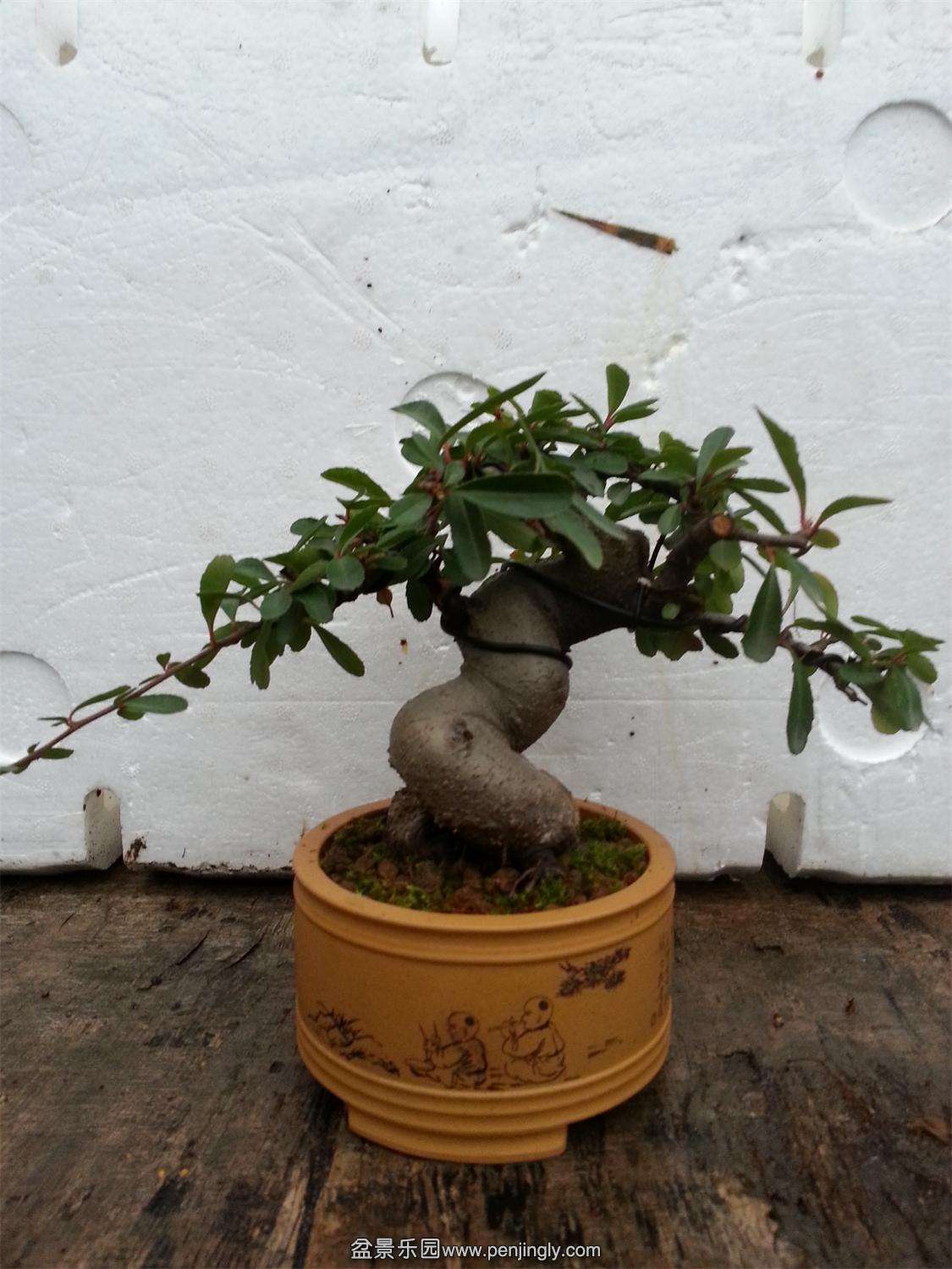 20150226_070753.jpg