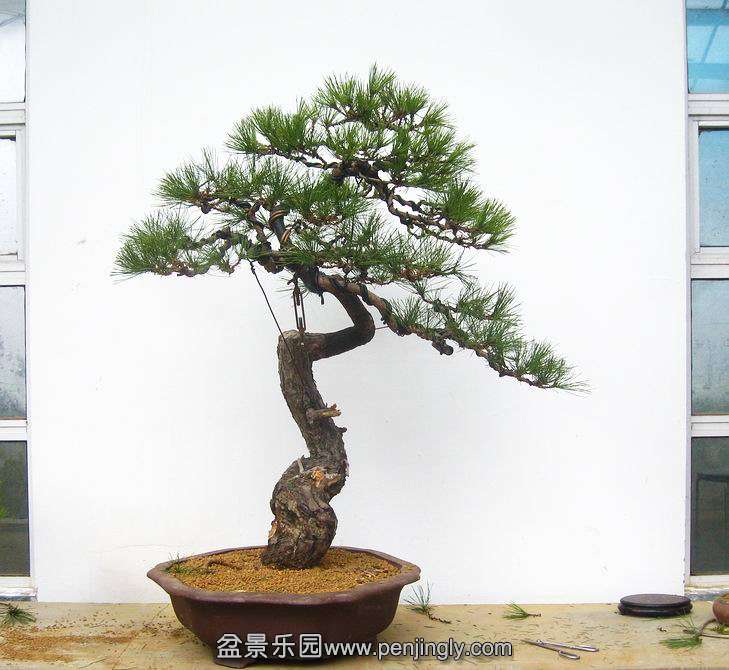 IMG_.0129.JPG