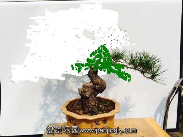 123631u3vlva7inajyl93l_png_thumb.jpg