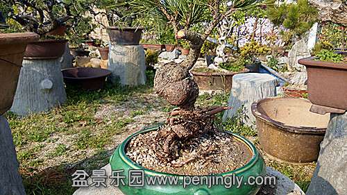 IMG_20150228_160015_.jpg