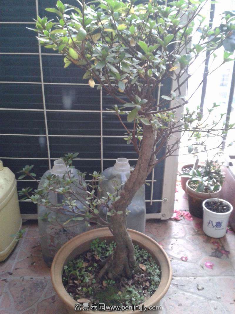 20141207160.jpg