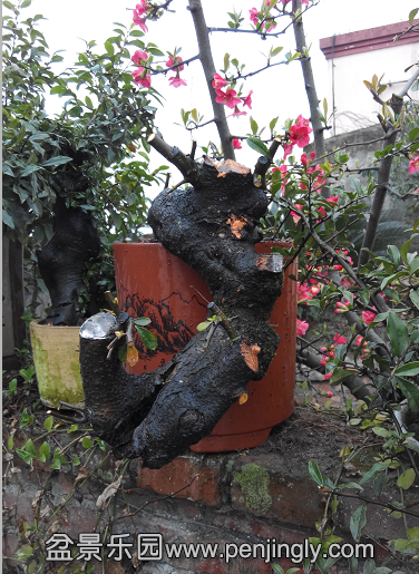 QQͼƬ20150302230911.png