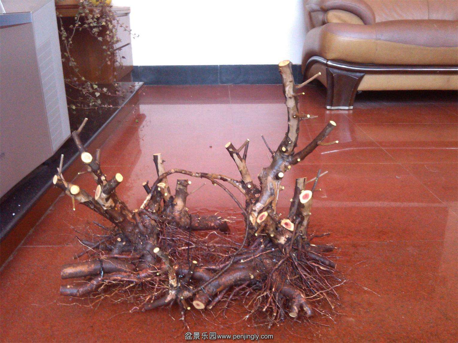 ȸ÷׮181IMG_20150302_165003_ͼ.jpg