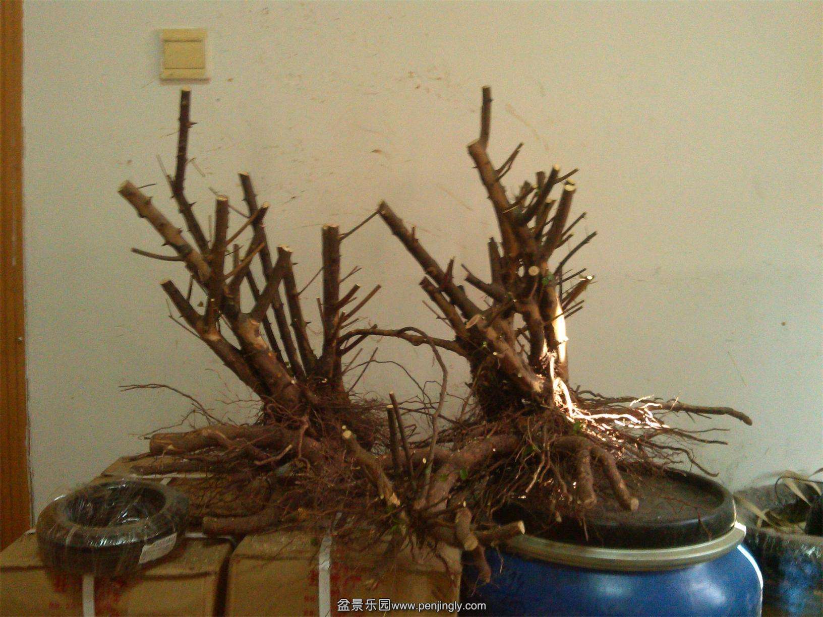 ȸ÷׮185IMG_20150302_094202_ͼ.jpg