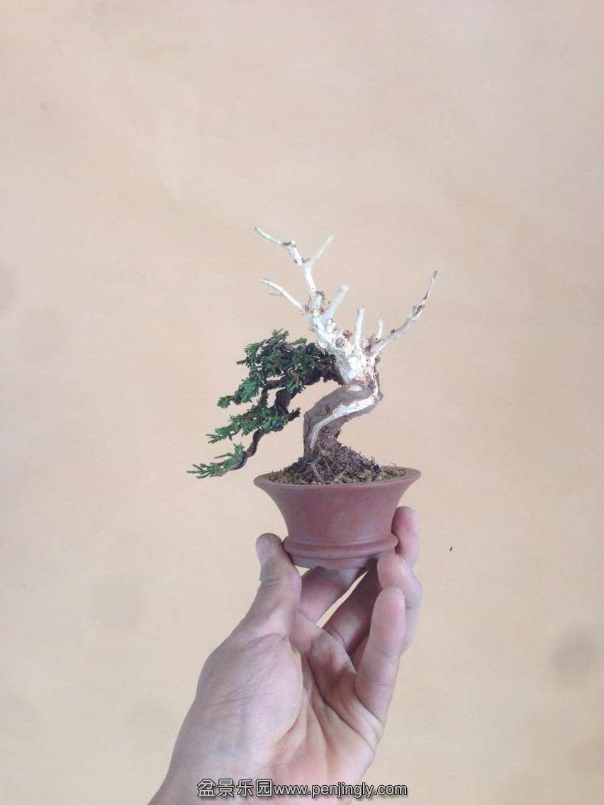 QQͼƬ20150303180833.jpg