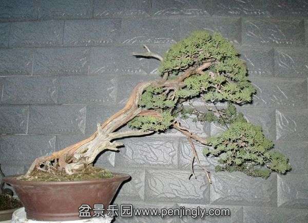 Ƭ 069.jpg