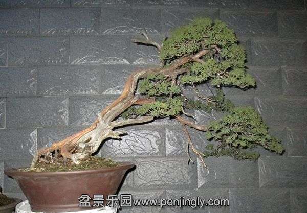 Ƭ 070.jpg