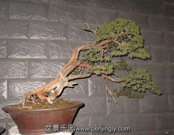 Ƭ 071.jpg