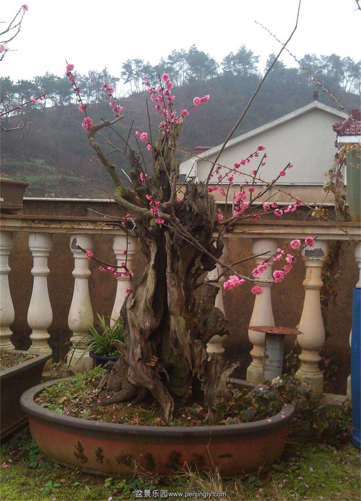 ÷׮54IMG_20150222_092111_ͼ_2345ͼ.jpg