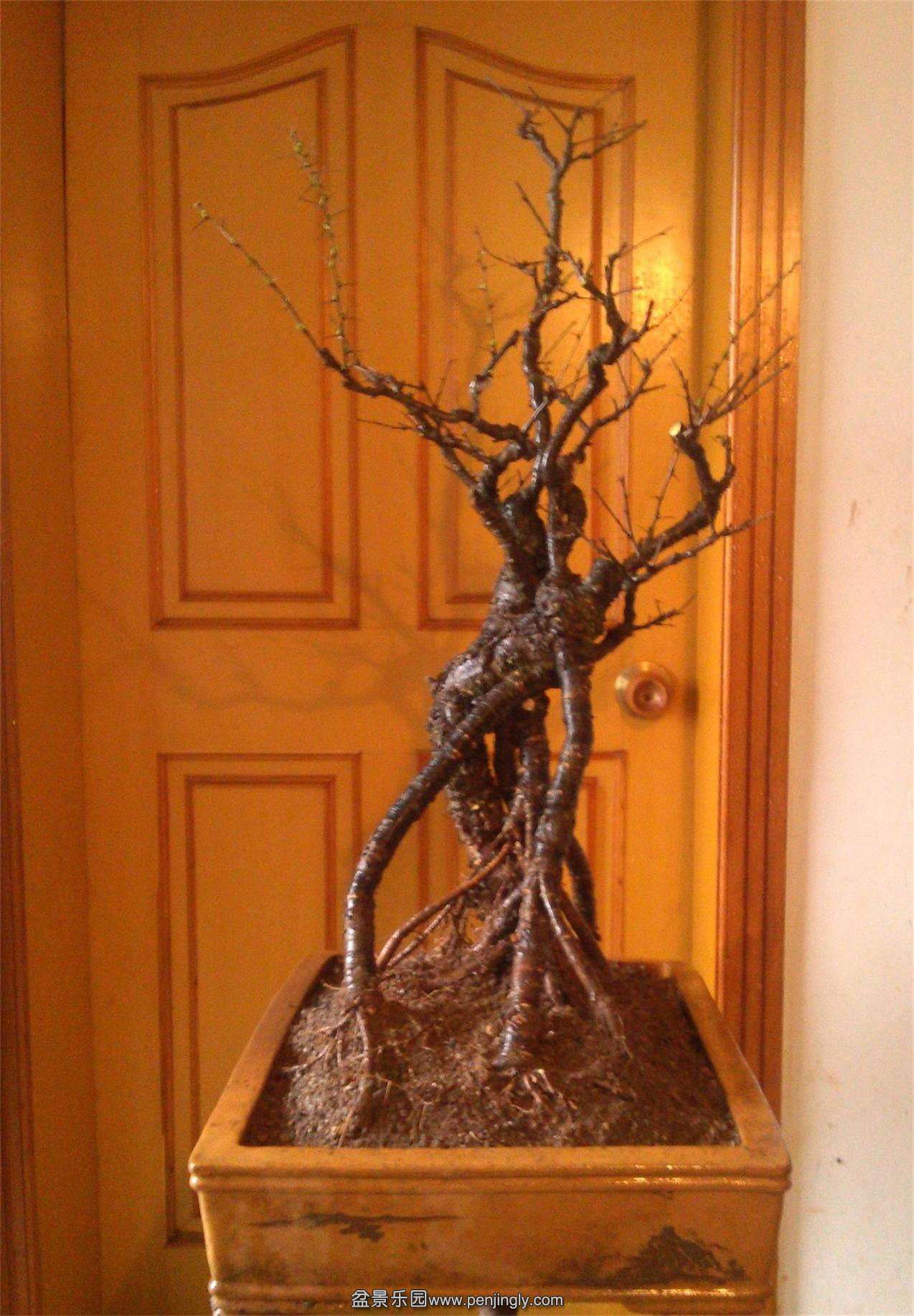 ȸ22IMG_20150306_145000_2345ͼ_ͼ.jpg