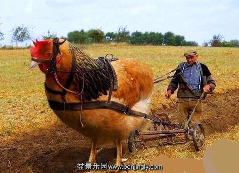 003931b5qhyiqa5u3y5579.jpg
