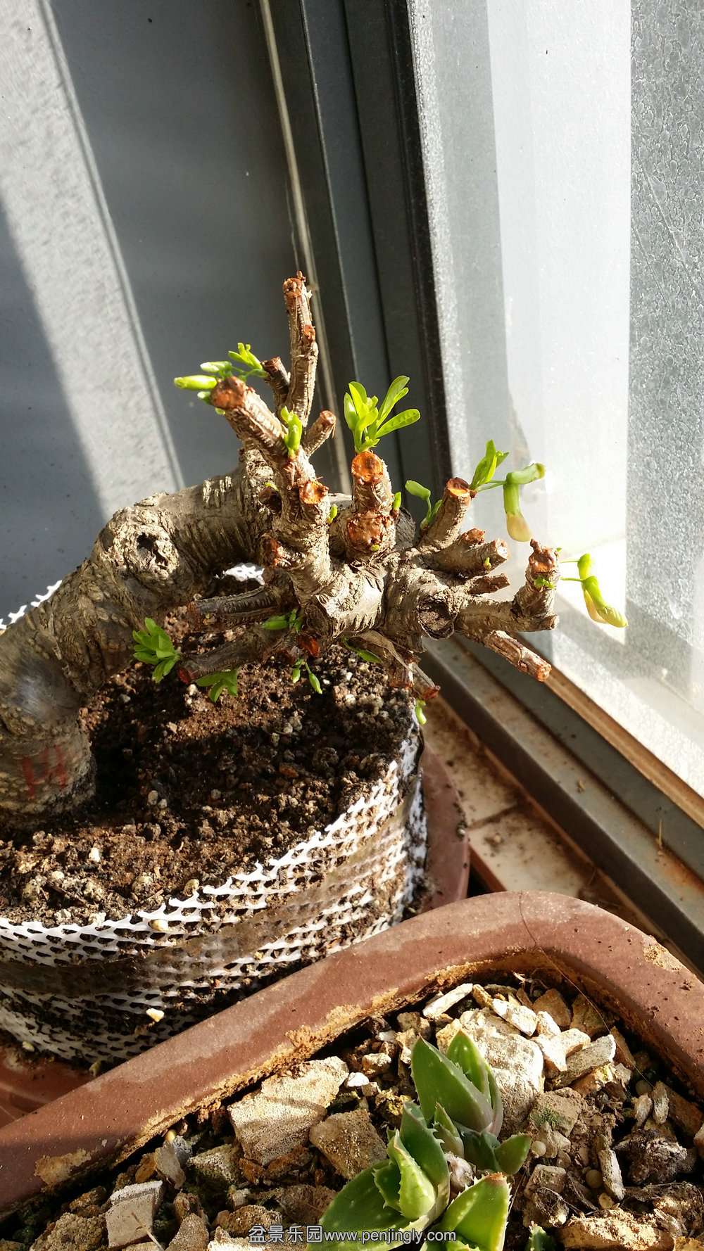 20150303_090907_.jpg
