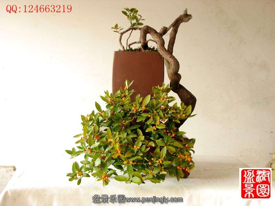 IMG_0034_副本_副本.jpg