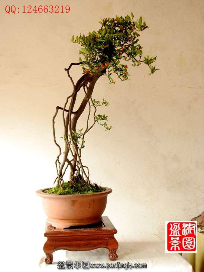 IMG_0038_副本_副本.jpg