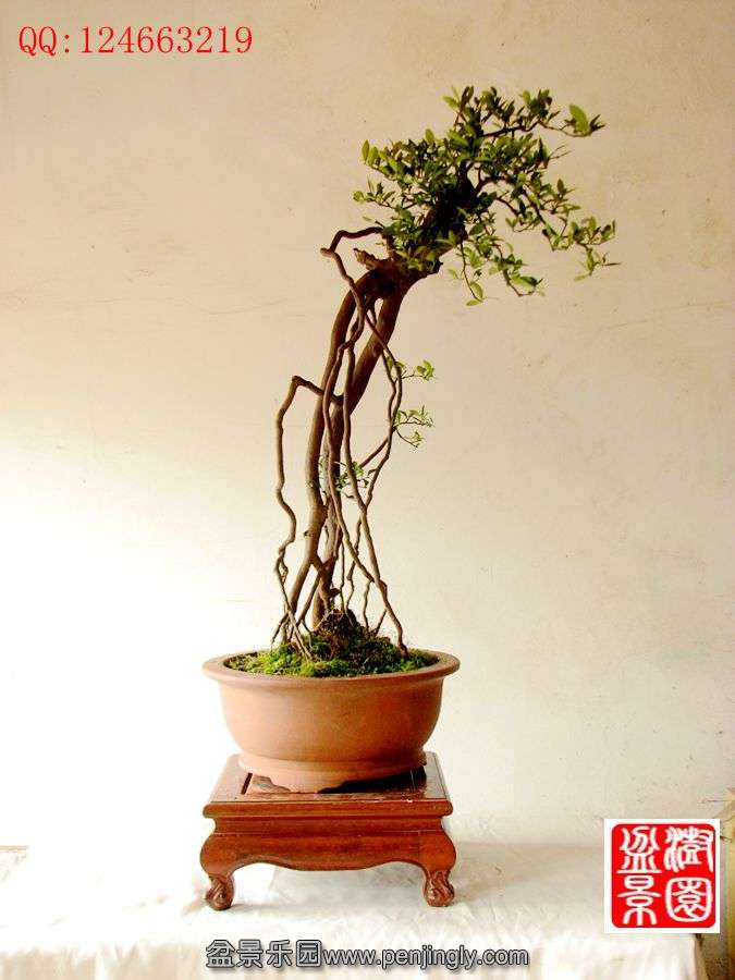 IMG_0042_副本.jpg