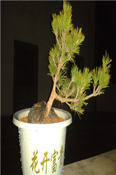 20150225_200108_.jpg