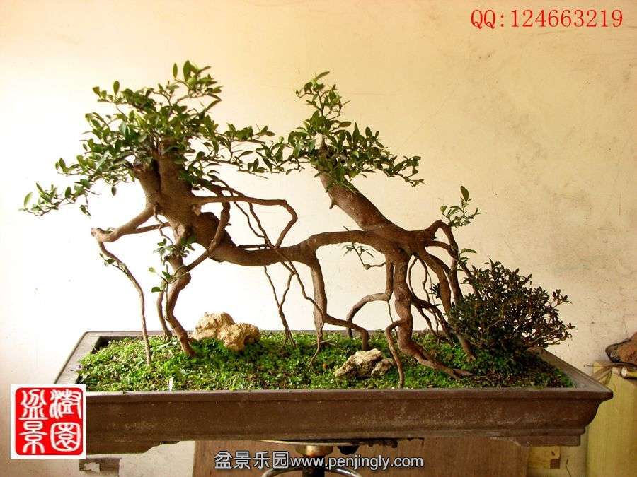 IMG_0049__.jpg