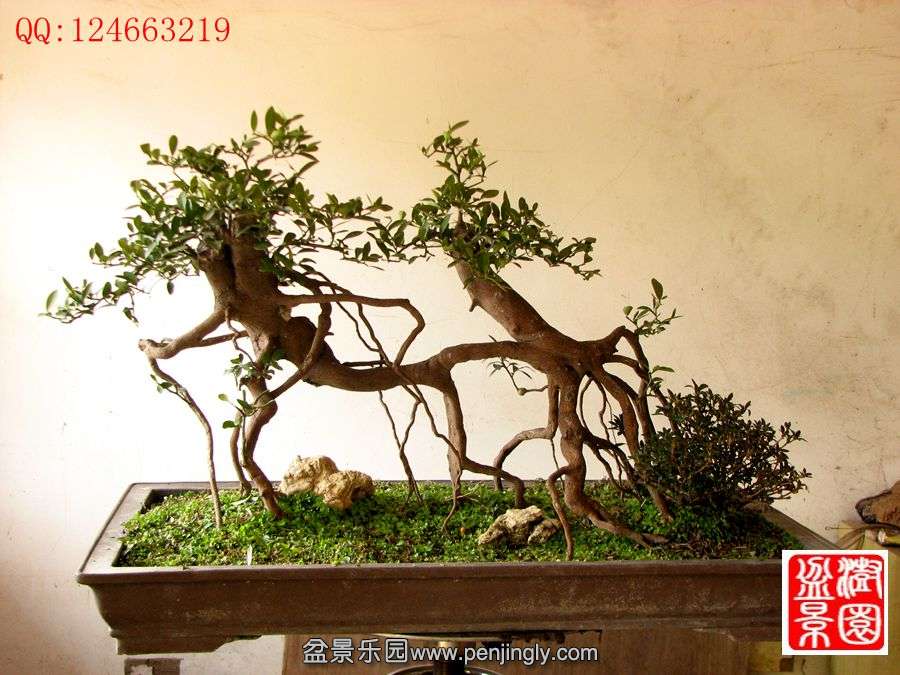 IMG_0051__.jpg