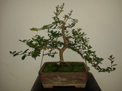 20150228_193643_.jpg