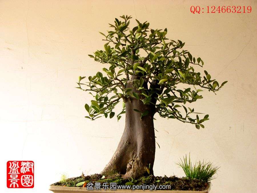 IMG_0074__.jpg