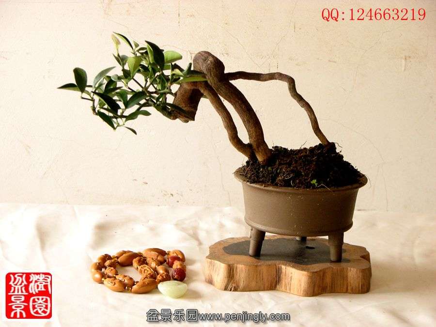 IMG_0075_副本.jpg