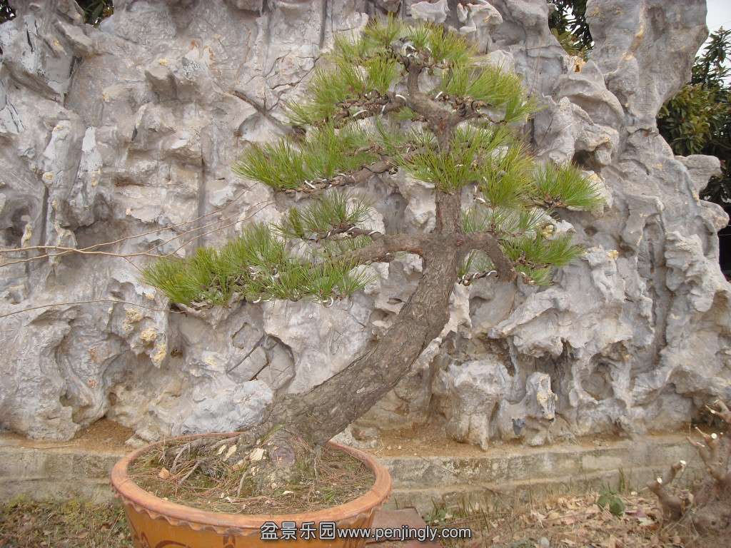SDC14323.JPG