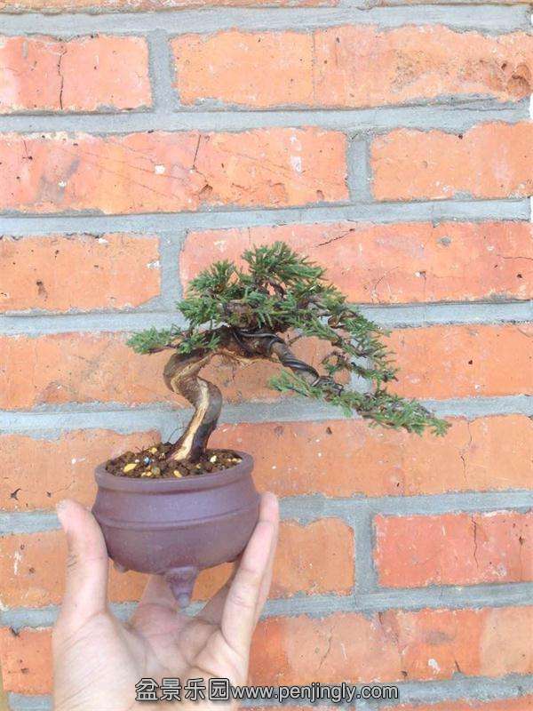 QQͼƬ20150310221910.jpg
