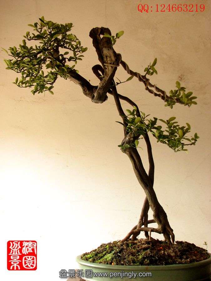 IMG_0083_副本.jpg
