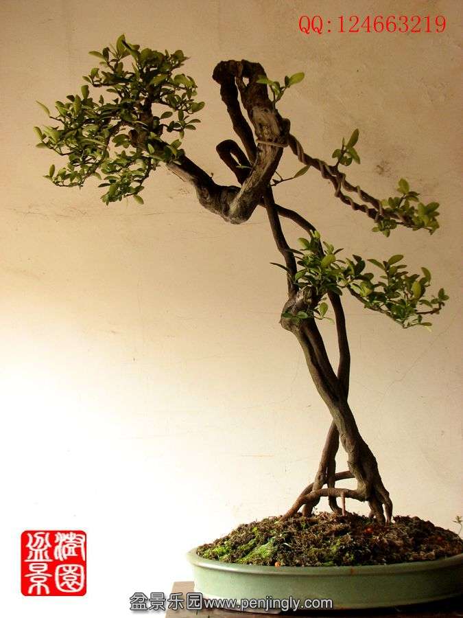 IMG_0084_副本_副本.jpg