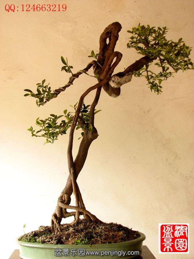 IMG_0085_副本.jpg