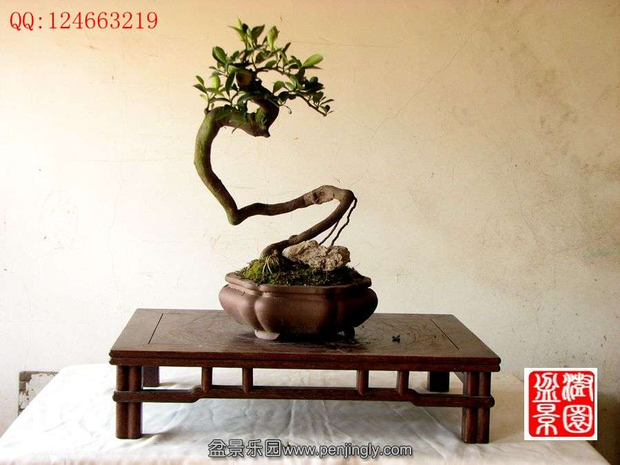 IMG_0112_副本_副本.jpg