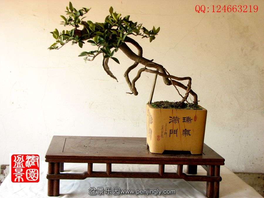 IMG_0116_副本.jpg