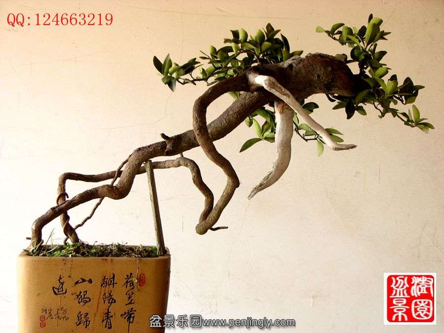 IMG_0118_副本.jpg