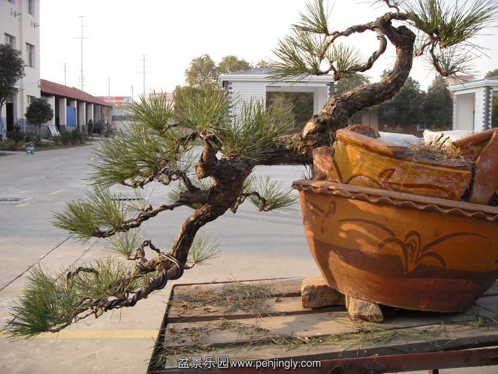 SDC14317.JPG