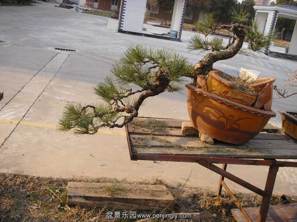 SDC14316.JPG