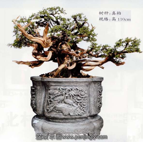 37-9-8¼һ԰-ʯ 2.jpg