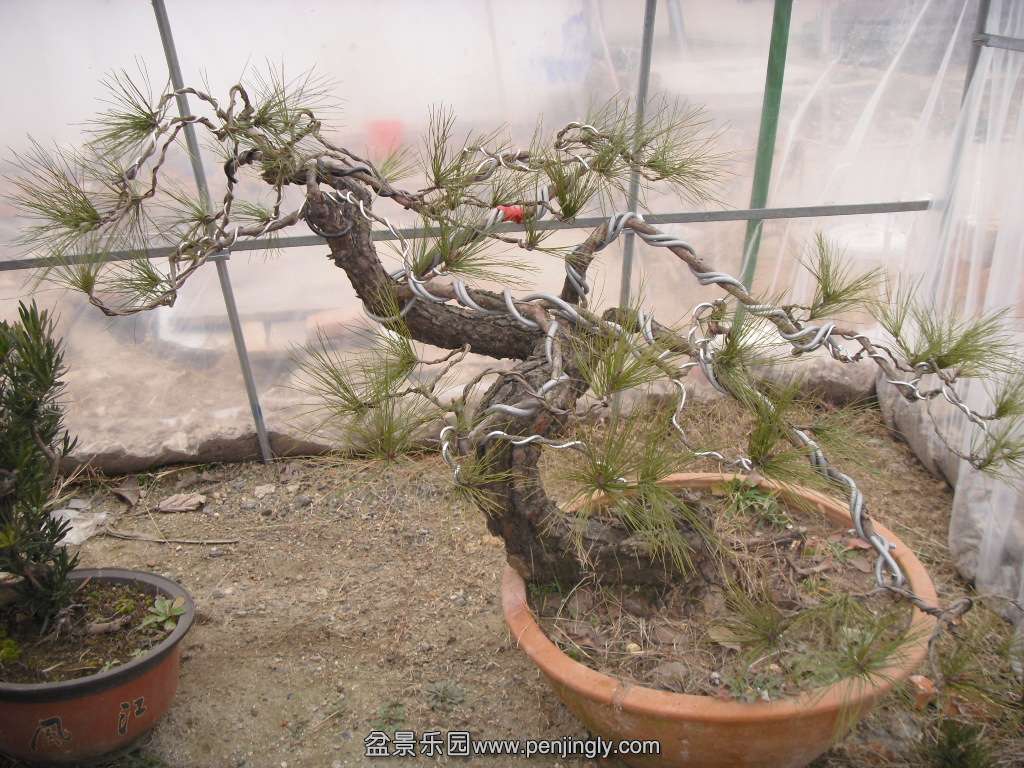 SDC14329.JPG