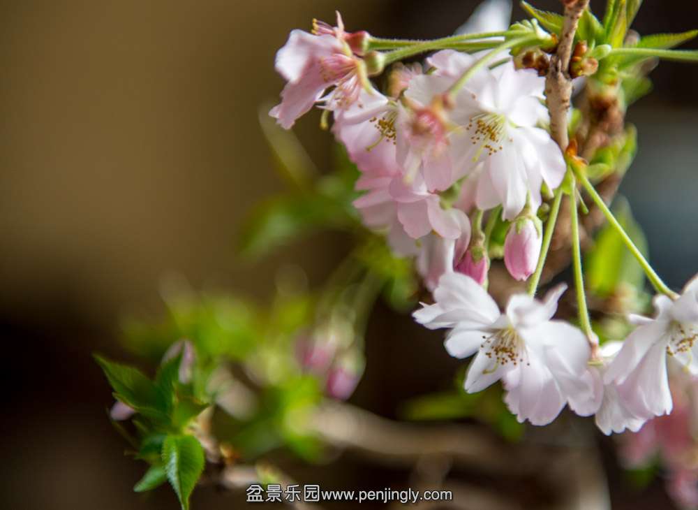 DSC_8639.jpg