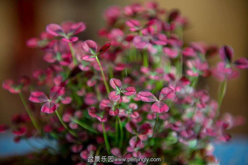 DSC_8628.jpg