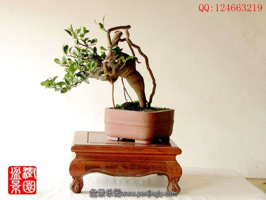 IMG_0142_副本.jpg