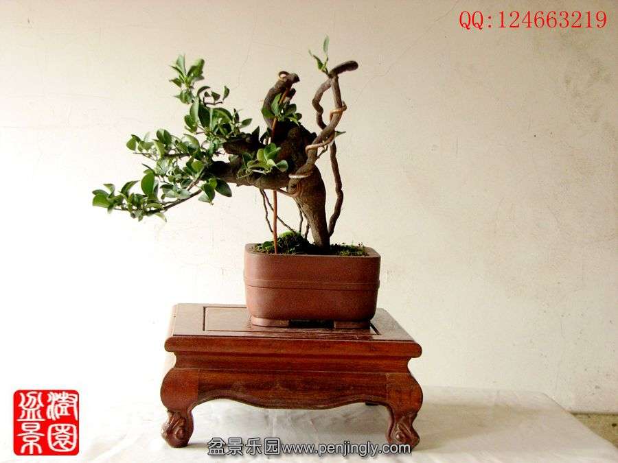 IMG_0143_副本_副本.jpg