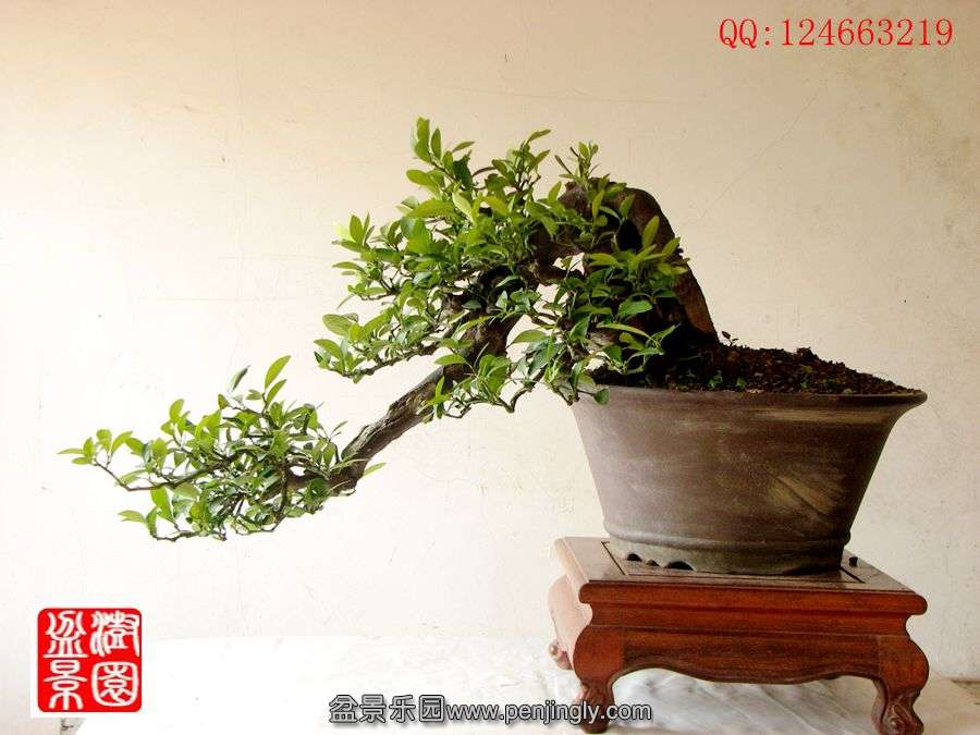 IMG_0167_副本.jpg