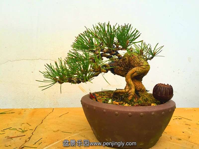 QQͼƬ20150317194945.jpg