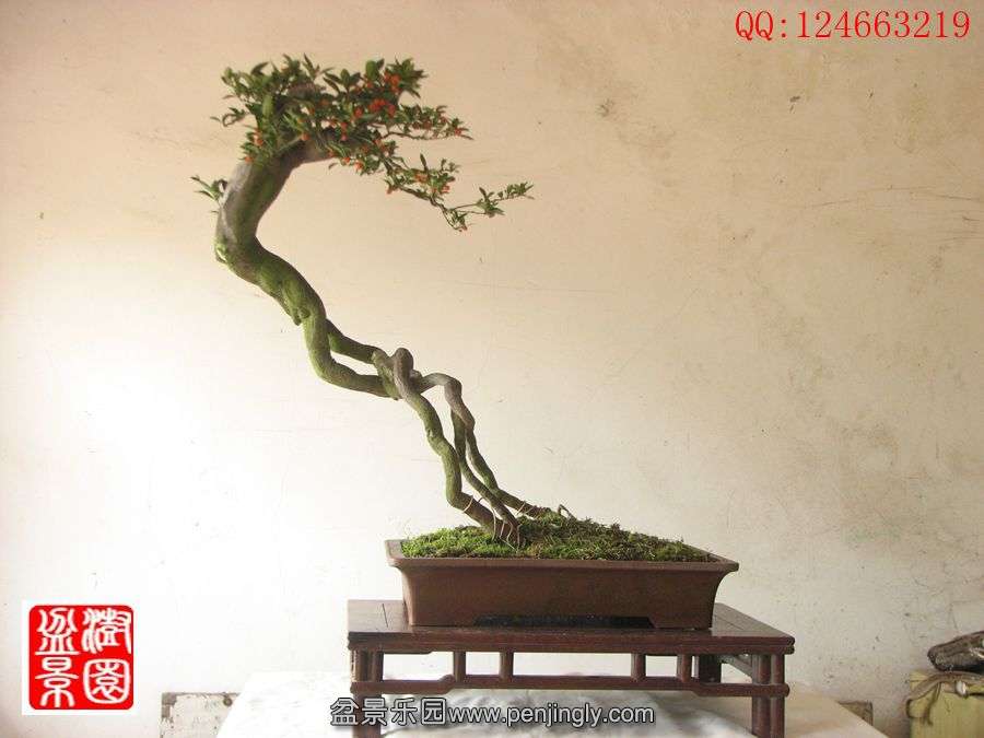 IMG_0191_副本_副本.jpg