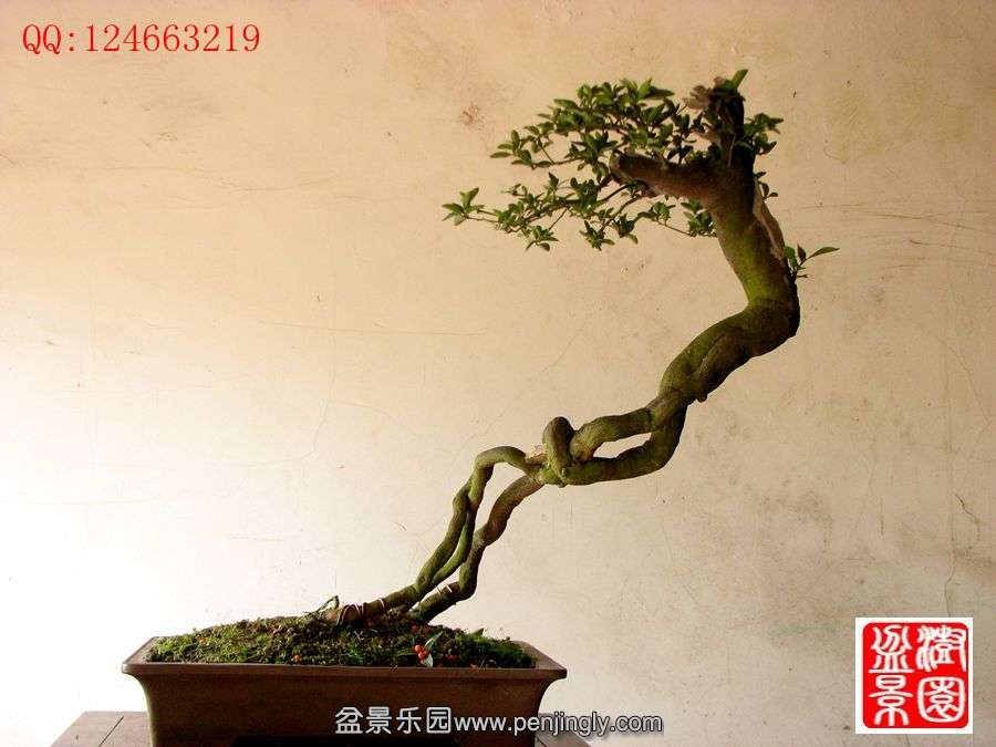 IMG_0196_副本.jpg