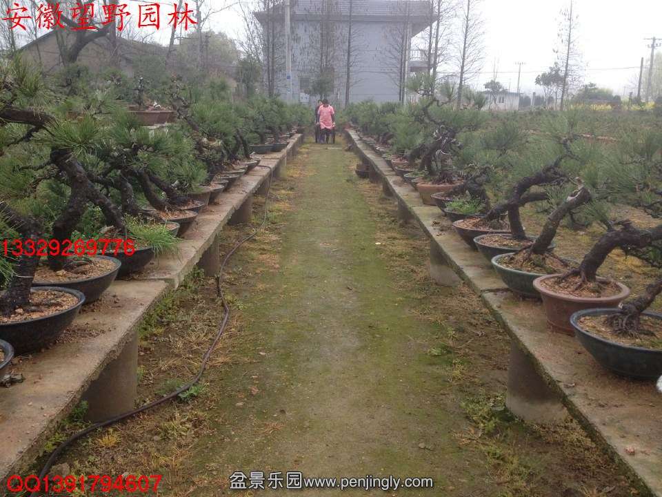 88F13152E1AE72A63F188BACD4443D1B.jpg
