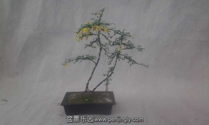 20150319_124755.jpg