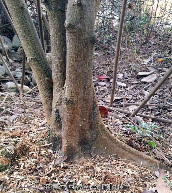 20150320_131759.jpg