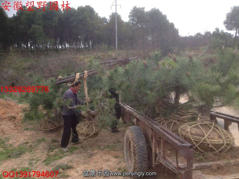4FEFF88DF44F7F500E679C5CD28D212E.jpg